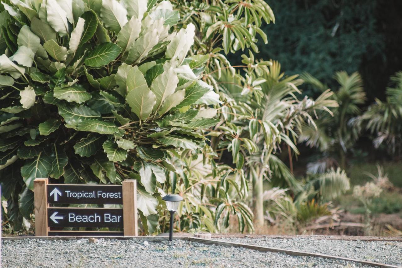 Hotel Aotearoa Surf Eco Pods Te Arai Exteriér fotografie